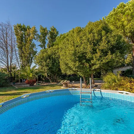 Palmeraie By Interhome Villa Hyères