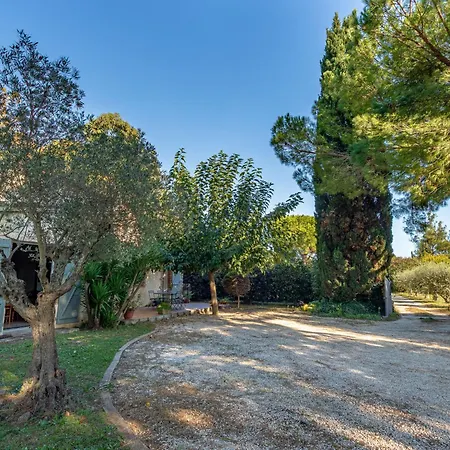 Palmeraie By Interhome Villa *