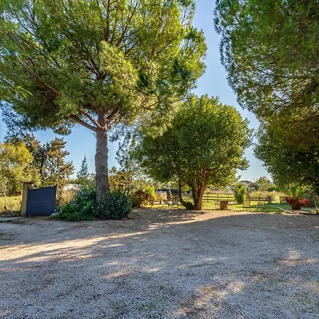 Palmeraie By Interhome