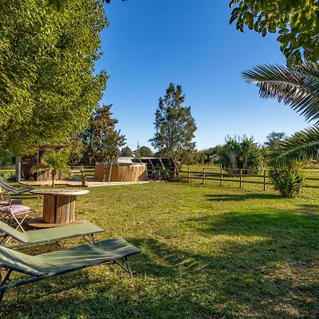 Palmeraie By Interhome * Hyères