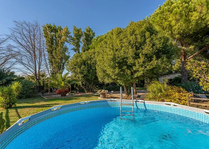 Palmeraie By Interhome Villa Hyères