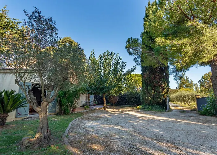 Palmeraie By Interhome Villa *