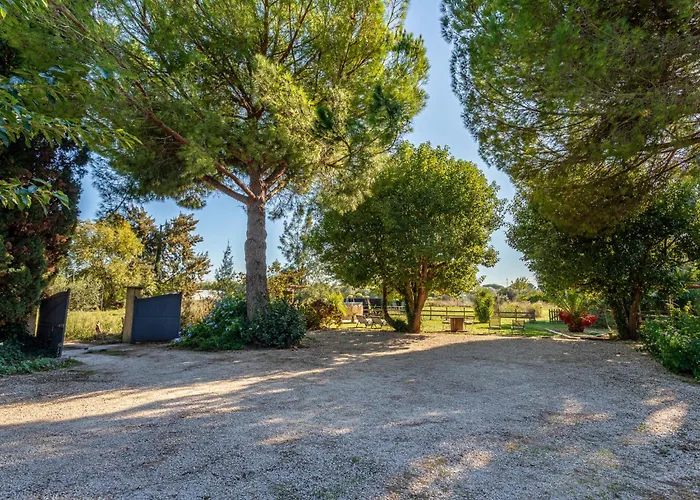 Palmeraie By Interhome