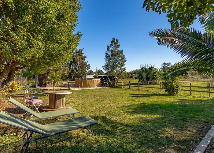 Palmeraie By Interhome * Hyères