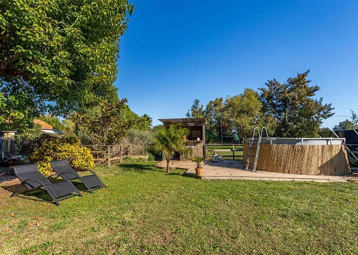 Palmeraie By Interhome Villa *