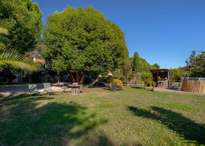 Palmeraie By Interhome * Hyères