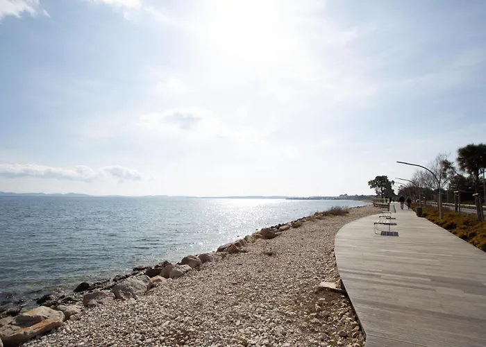 Palmeraie By Interhome Hyères